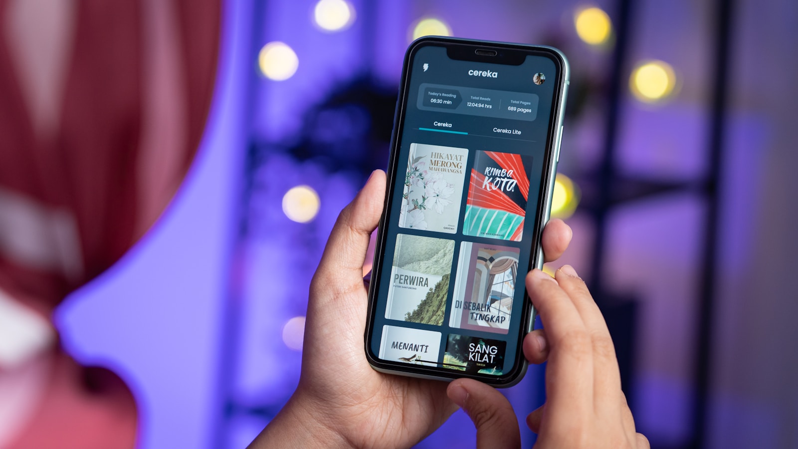 graphical user interface, application